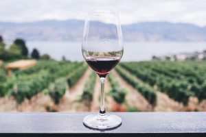 with Swan Valley Wine Tours