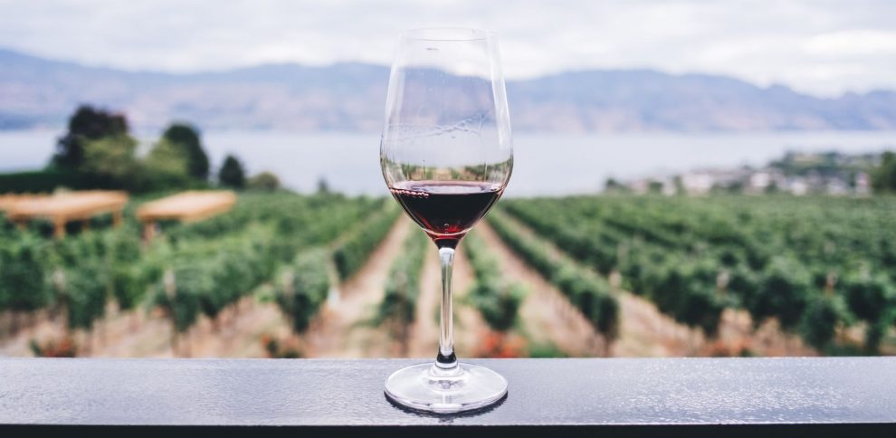 with Swan Valley Wine Tours