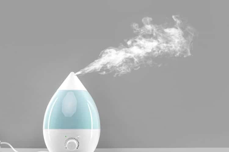 Everlasting Comfort Cool Mist Humidifier